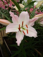 [4364 Perth DJ No02.JPG]